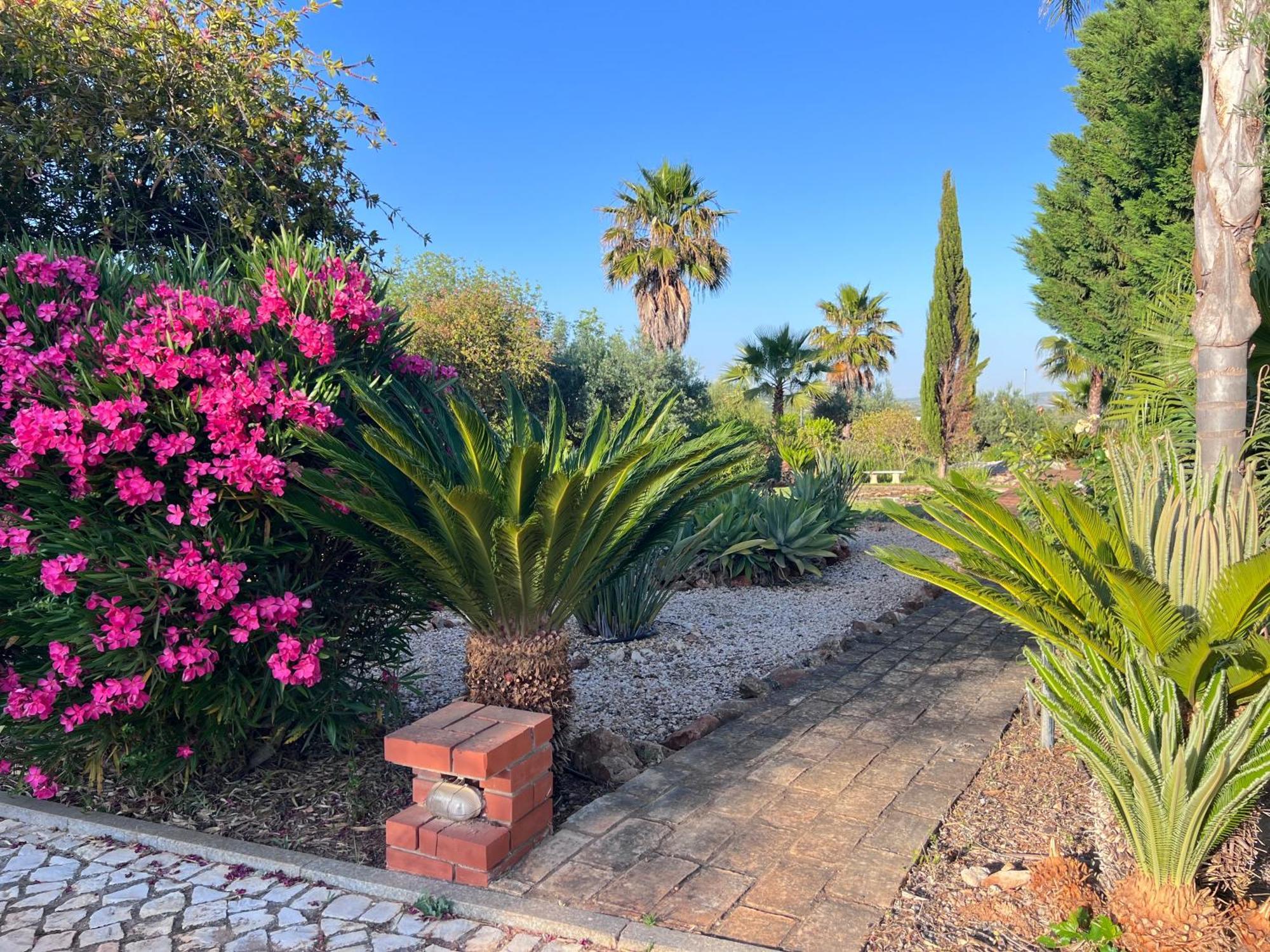 São Bartolomeu de Messines Vila Relaxmountain B&B מראה חיצוני תמונה